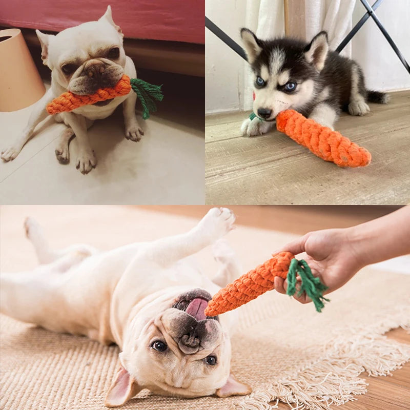 Animal Dog Chew Toys