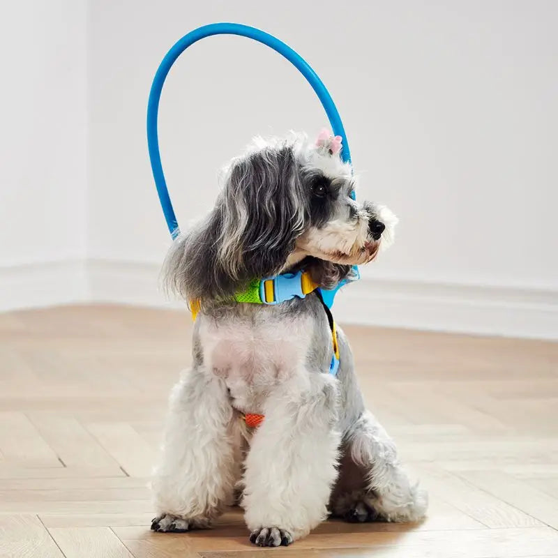 Blind Pet Anti-Collision Collar