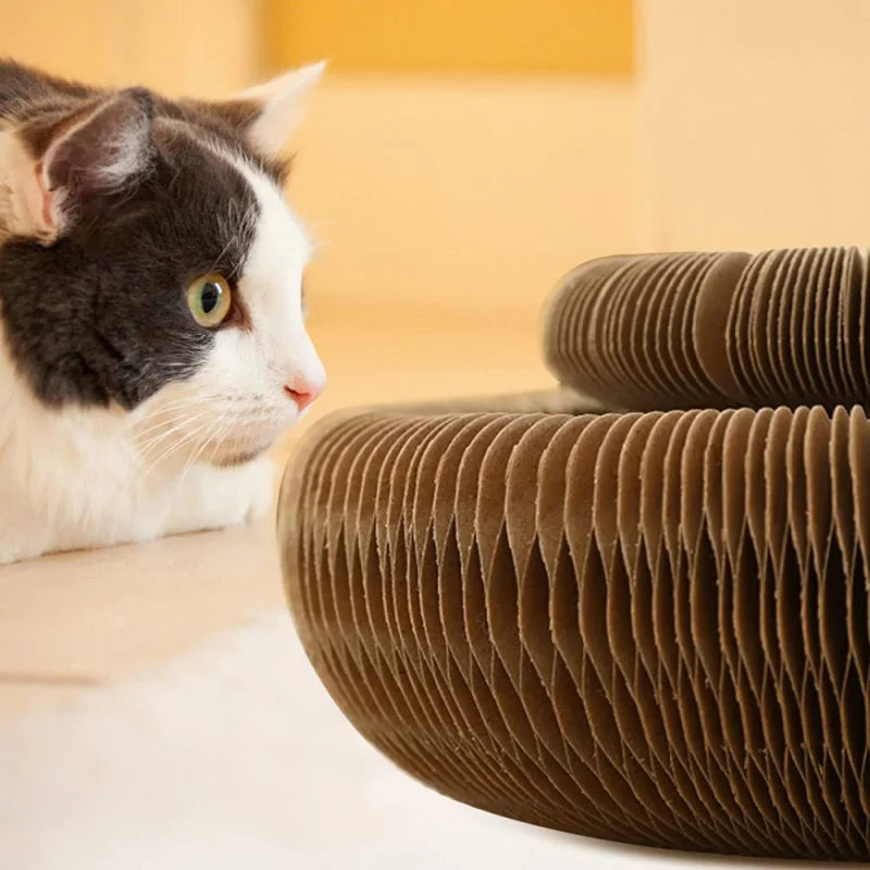 Cat Scratching Board