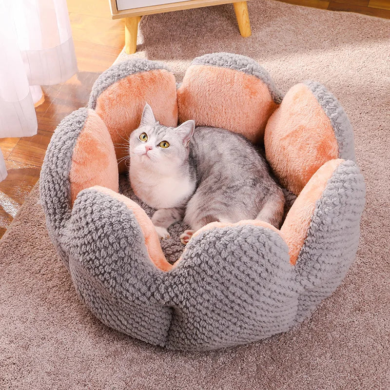 Pet Deep Sleep Cactus House