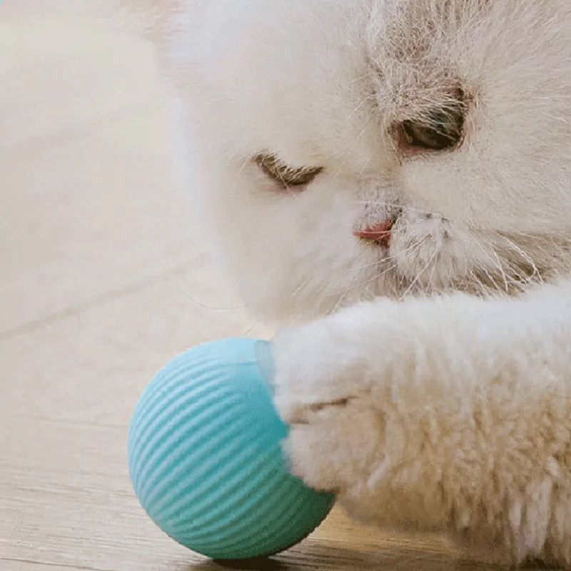 Electric Rolling Ball