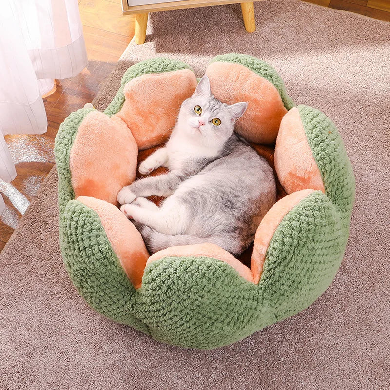 Pet Deep Sleep Cactus House