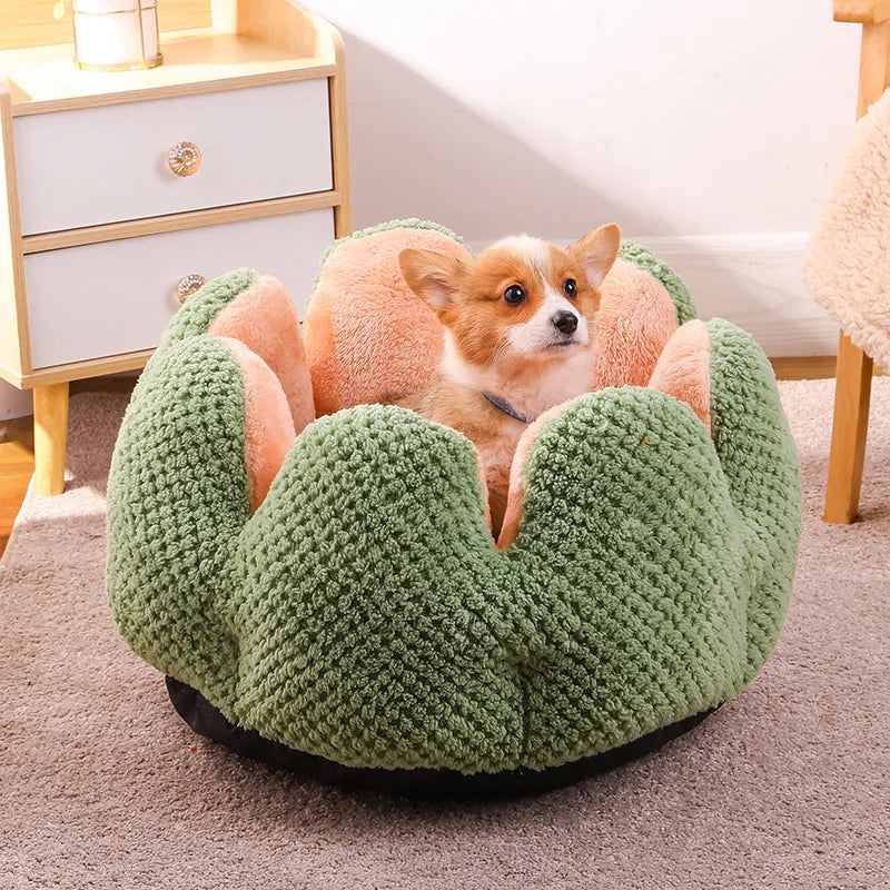 Pet Deep Sleep Cactus House