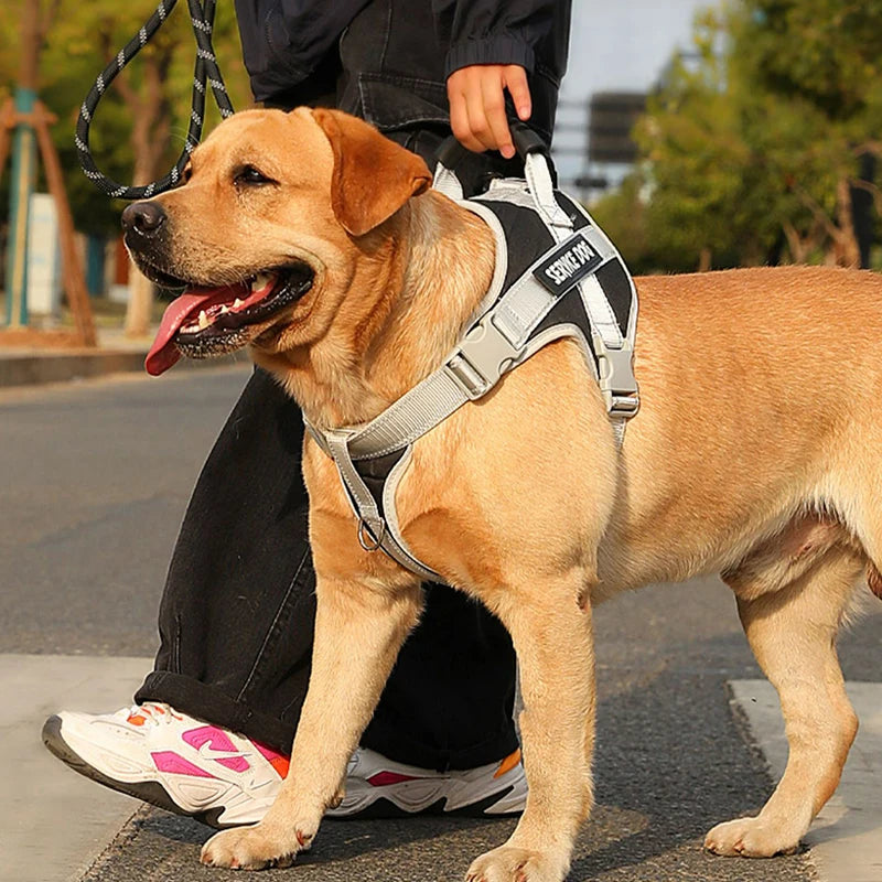 Dog Harness Vest