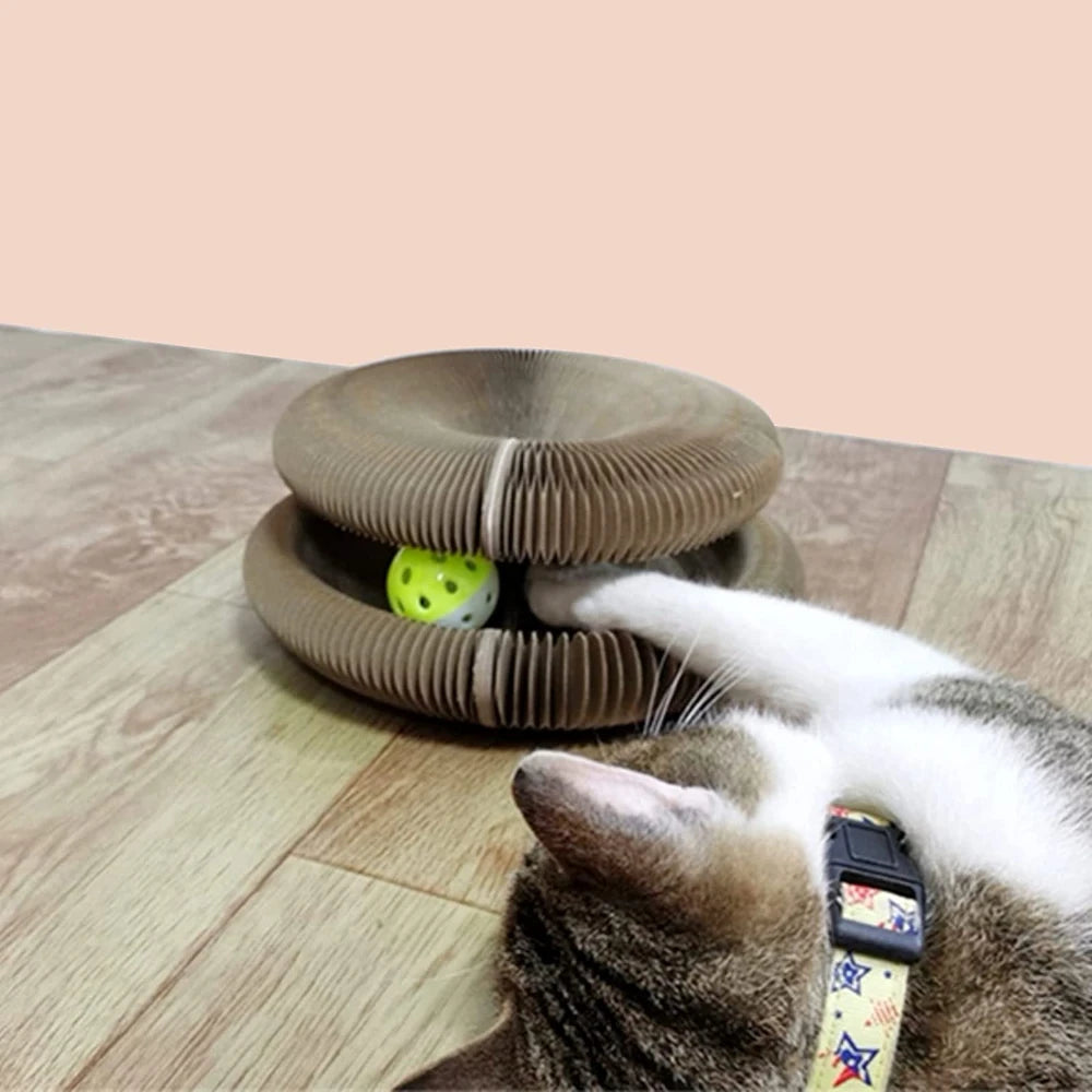 Cat Scratching Board