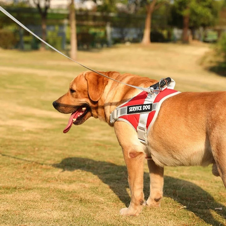 Dog Harness Vest