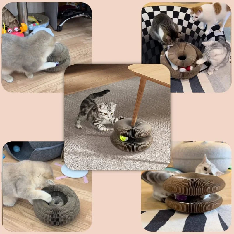 Cat Scratching Board