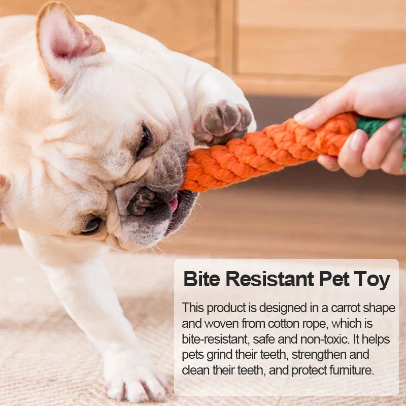 Animal Dog Chew Toys