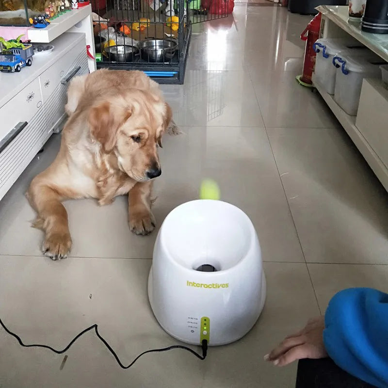 Throwing Machine Pet Ball