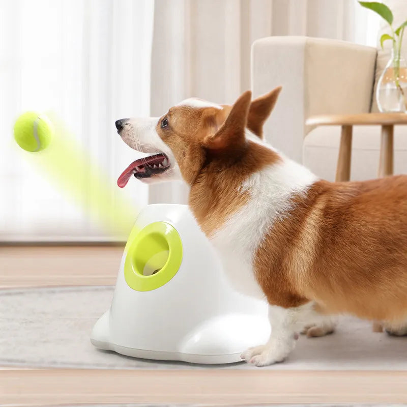 Throwing Machine Pet Ball