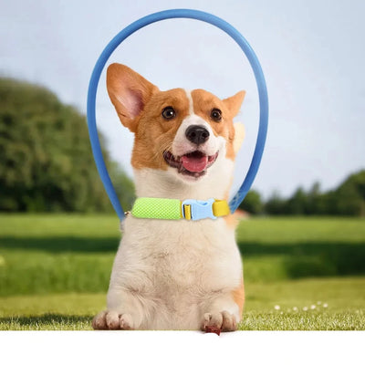Blind Pet Anti-Collision Collar