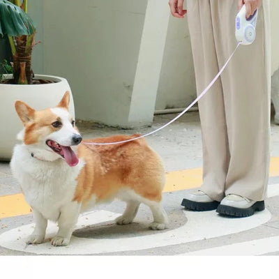 Automatic Lights Dog Leash