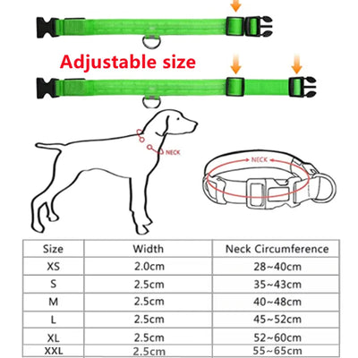 LED Pet Collar