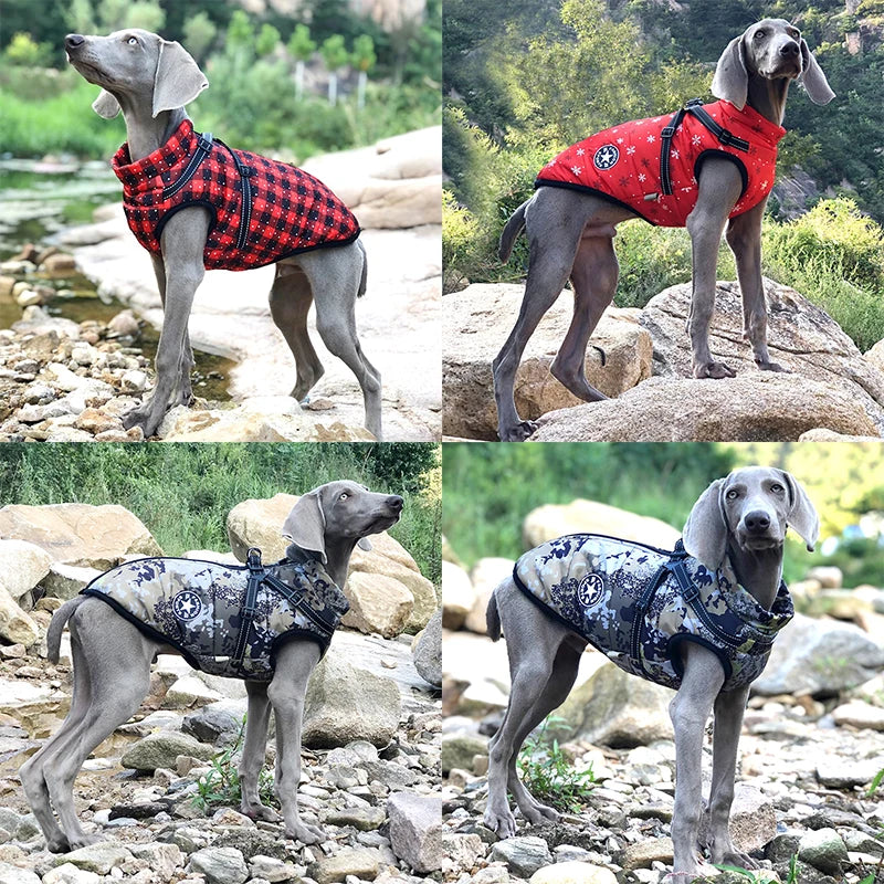 Pet Harness Warm Jacket