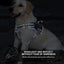 Reflective Dog Harness