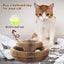 Cat Scratching Board