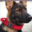 Durable Tactical Dog Collar