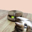 Cat Scratching Board