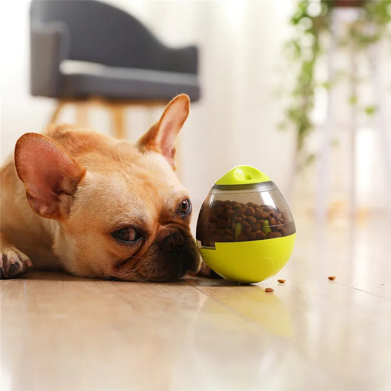 Dog Feed Training Balls