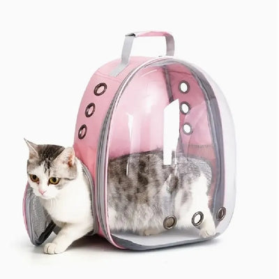 Pets Transparent Suitcase