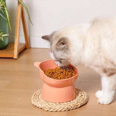 Pet Food Bowl