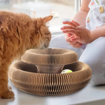 Cat Scratching Board