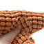 Dinosaur Interactive Dog Chew Toy