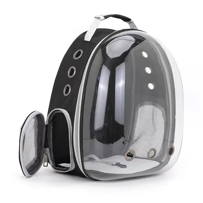 Pets Transparent Suitcase