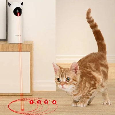 Smart Teasing Cat Toys